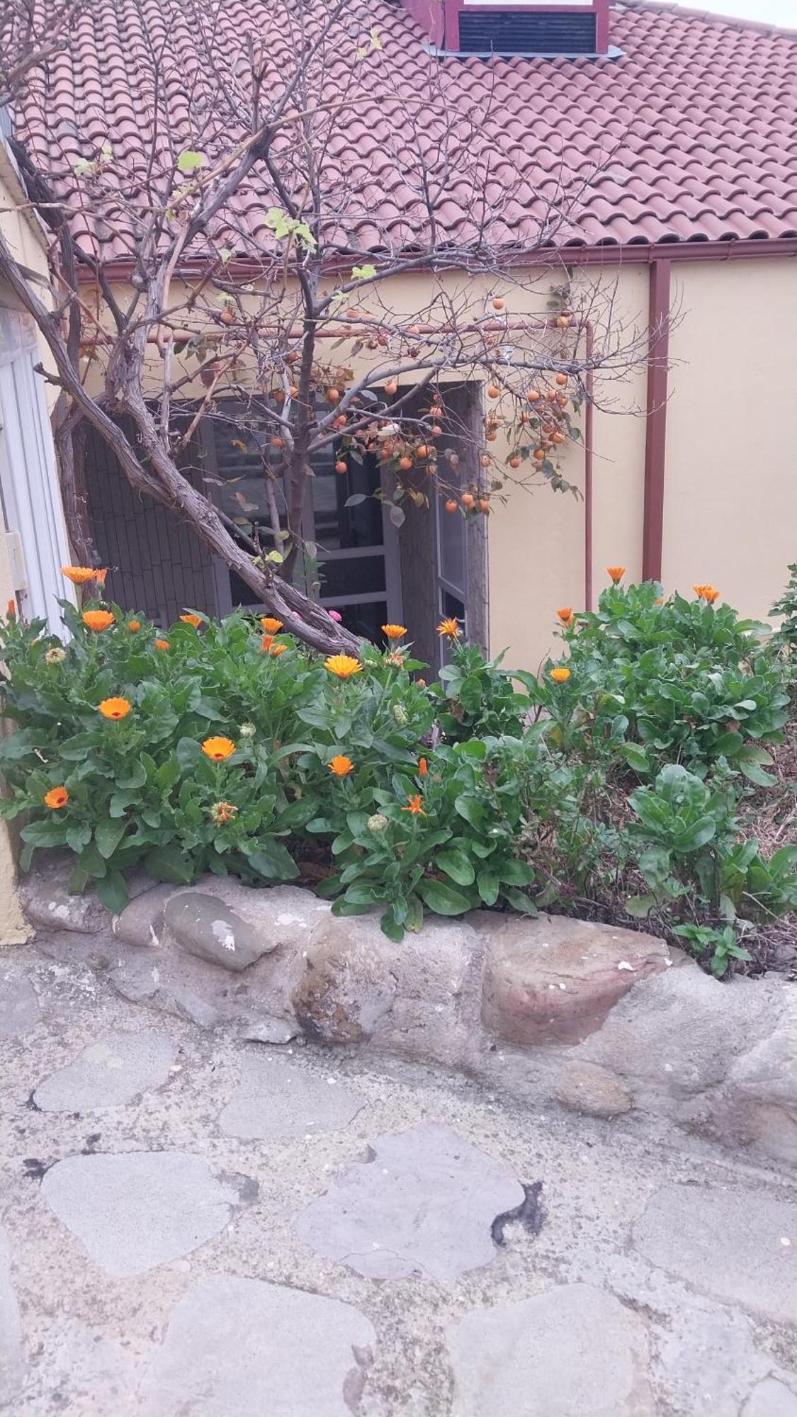 Vigor Otel Siğnaği Dış mekan fotoğraf