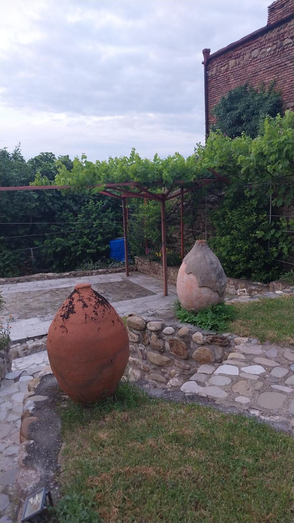 Vigor Otel Siğnaği Dış mekan fotoğraf