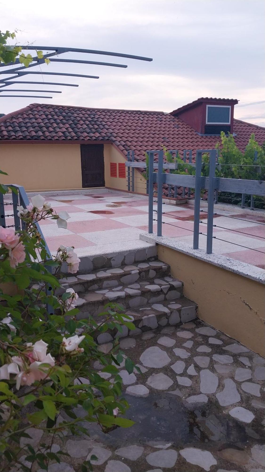 Vigor Otel Siğnaği Dış mekan fotoğraf