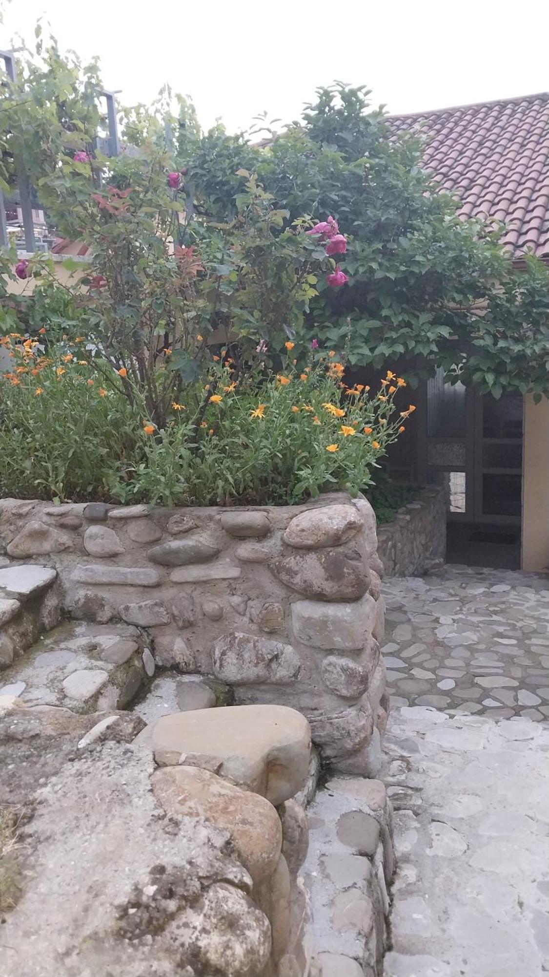 Vigor Otel Siğnaği Dış mekan fotoğraf