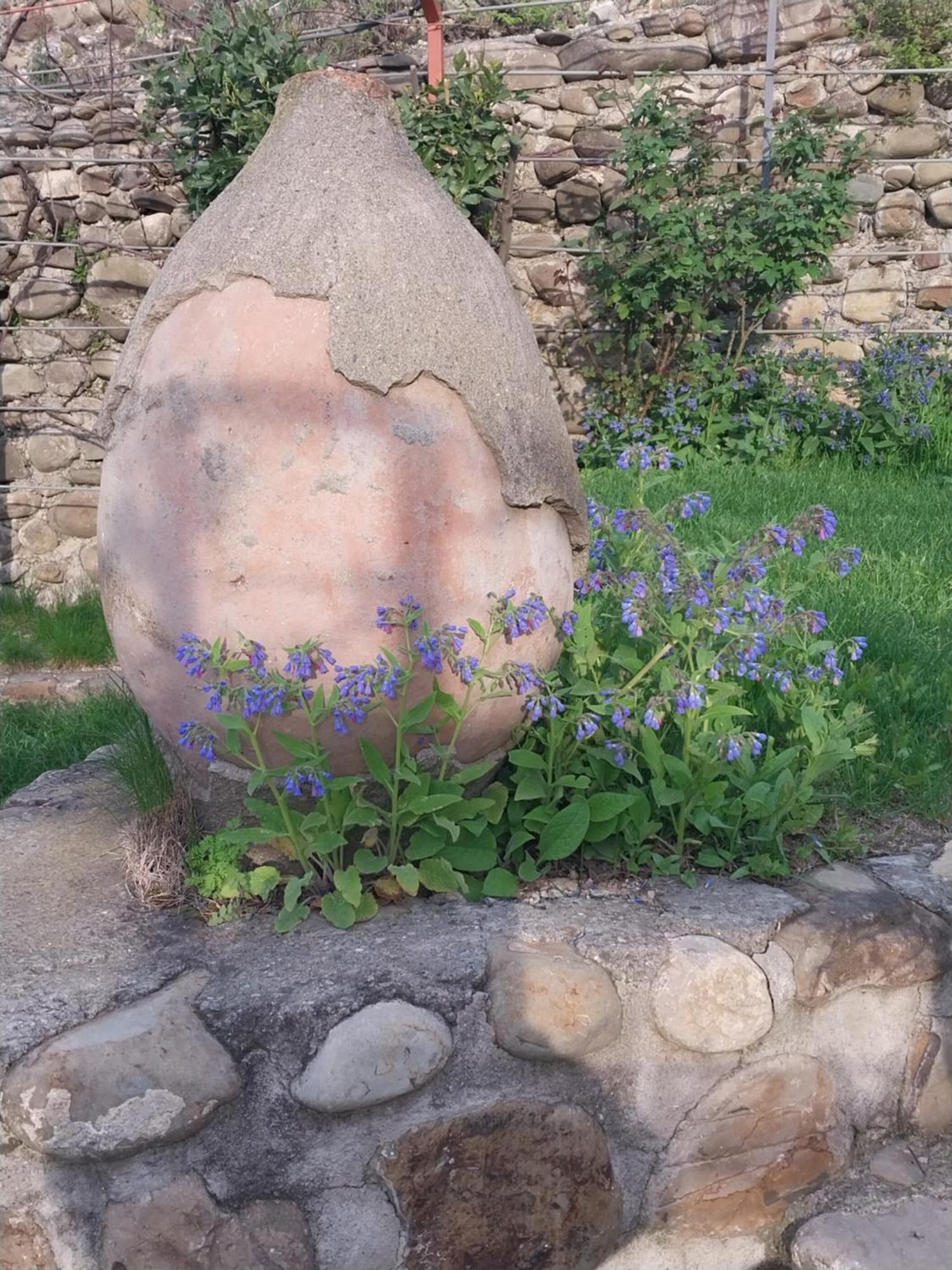 Vigor Otel Siğnaği Dış mekan fotoğraf